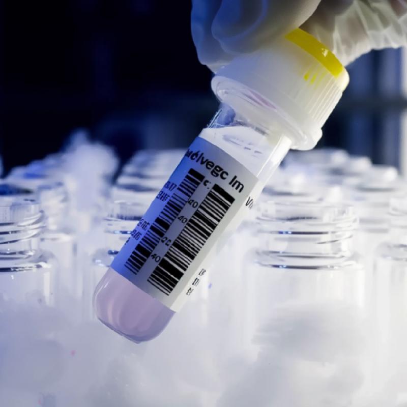 Temperature Response Labels